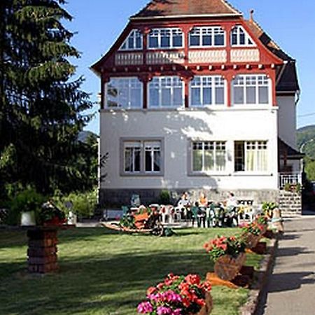 Villa Du Sendenbach Muhlbach-sur-Munster エクステリア 写真