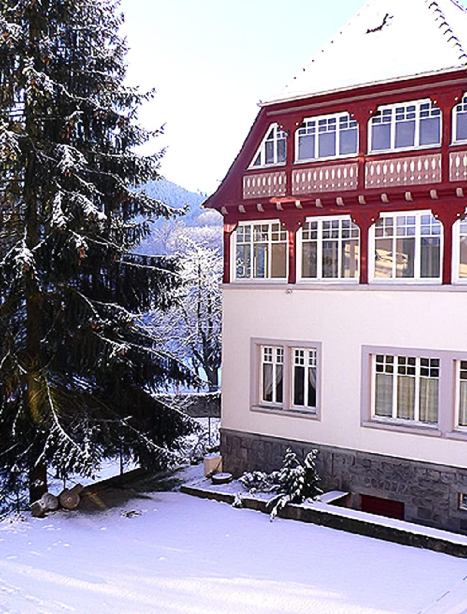 Villa Du Sendenbach Muhlbach-sur-Munster エクステリア 写真