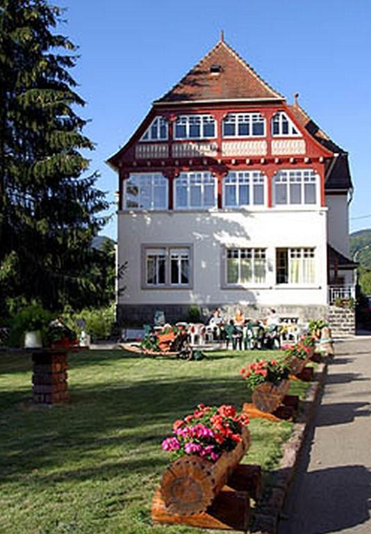 Villa Du Sendenbach Muhlbach-sur-Munster エクステリア 写真